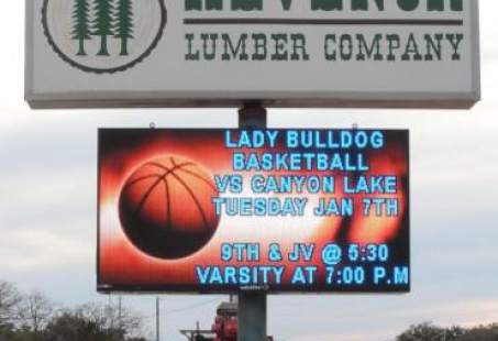 Lady Bulldog